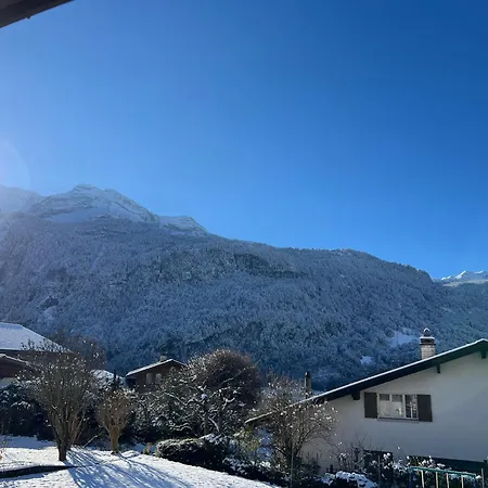 Ruhig Gelegene In Brienz アパート ブリエンツ
